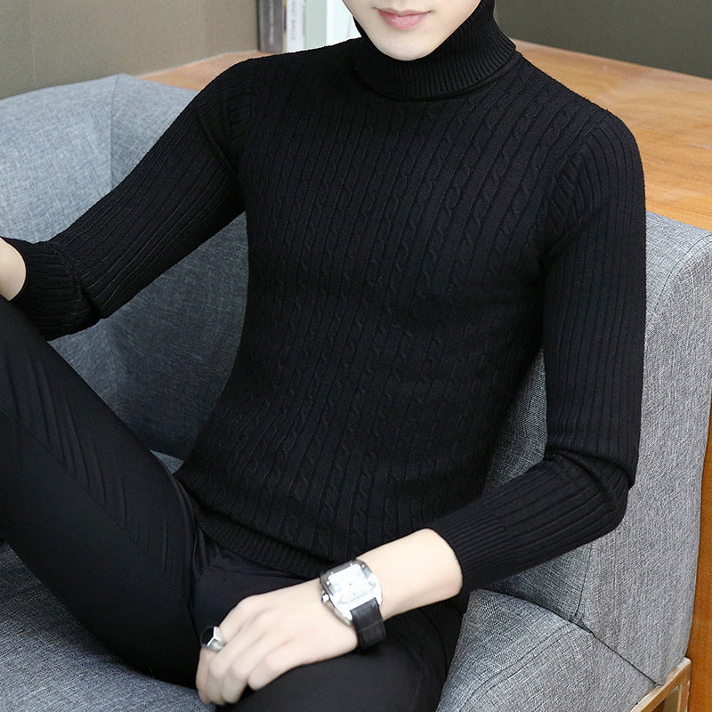 Herren Feinstrick Rollkragenpullover Echoarchiv
