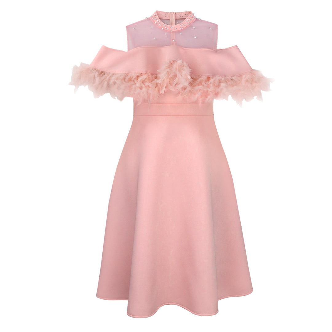 Damen elegantes Kleid mit transparenten Puffärmeln und dekorativen Federdetails Echo Archiv