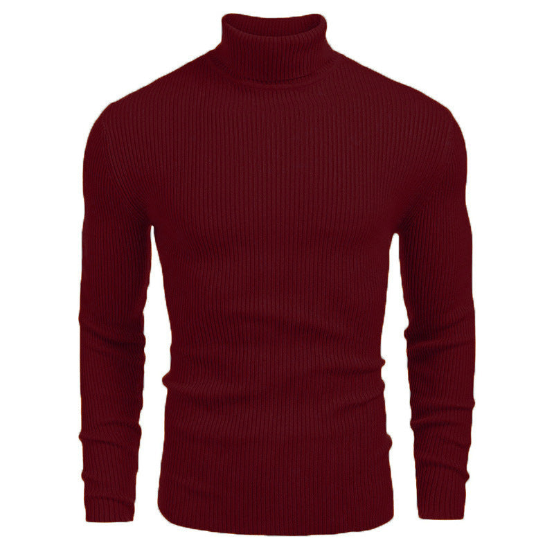 Herren Hochwertiger Rollkragenpullover aus feiner Strickware Echoarchiv