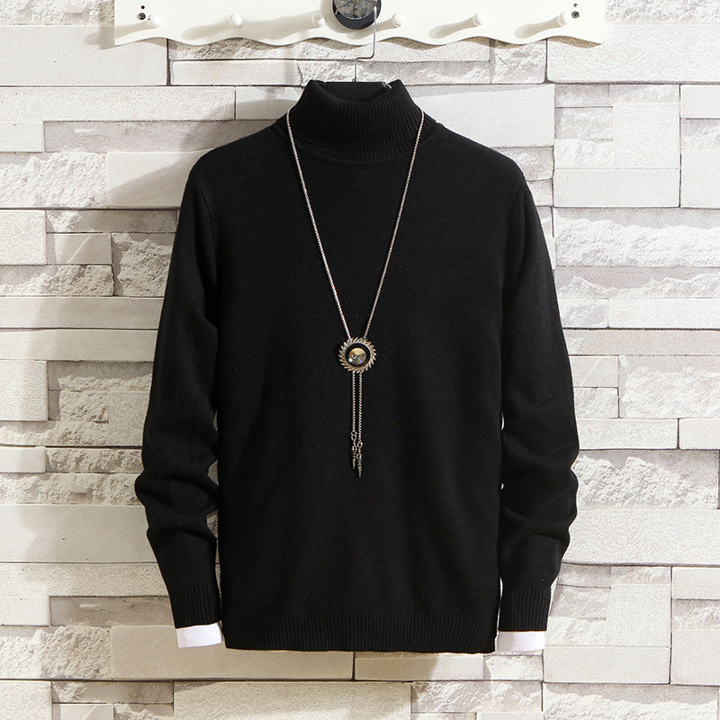 Herren Rollkragenpullover aus hochwertigem Strickmaterial Echoarchiv