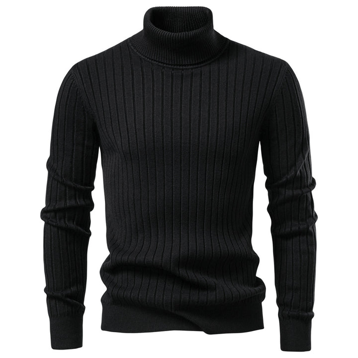 Herren Rollkragenpullover mit feinem Rippstrukturdesign Echoarchiv