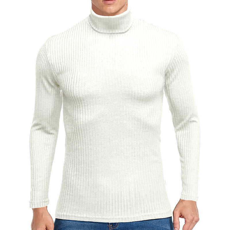 Herren feiner Rollkragenpullover aus strukturiertem Strick Echoarchiv