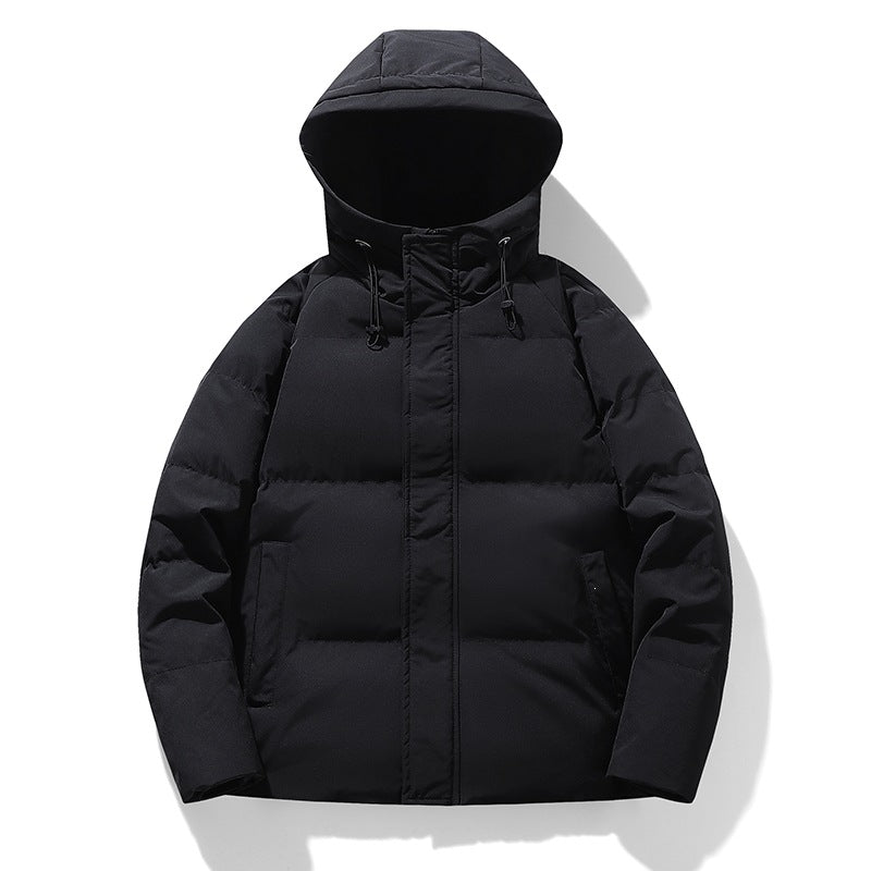 Herren Wattierte Kapuzen-Übergangsjacke mit Thermofüllung und hohem Stehkragen Echoarchiv