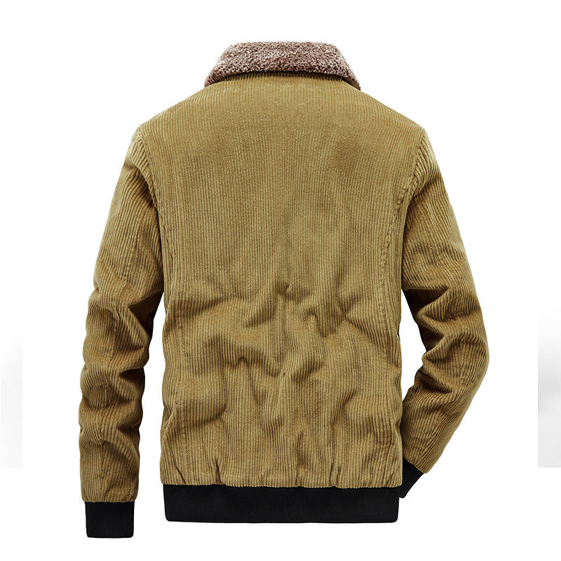 Herren Kord-Fieldblouson mit Sherpa-Innenfutter, Stehkragen und aufgesetzten Pattentaschen Echoarchiv