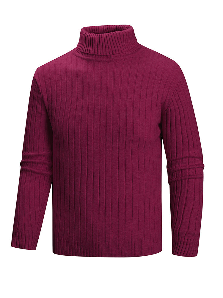 Herren Rollkragenpullover aus hochwertigem Feinstrick Echoarchiv