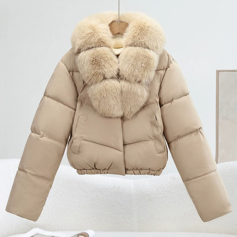 Damen Kurz‑Pufferjacke im Boxy‑Cut mit voluminösem Fellkragen und elastischem Saum Echo Archiv