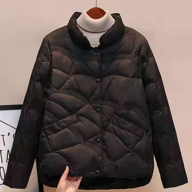 Damen Stepp-Thermo-Blouson mit hochgeschlossenem Kragen und dekorativer Wellensteppung Echoarchiv