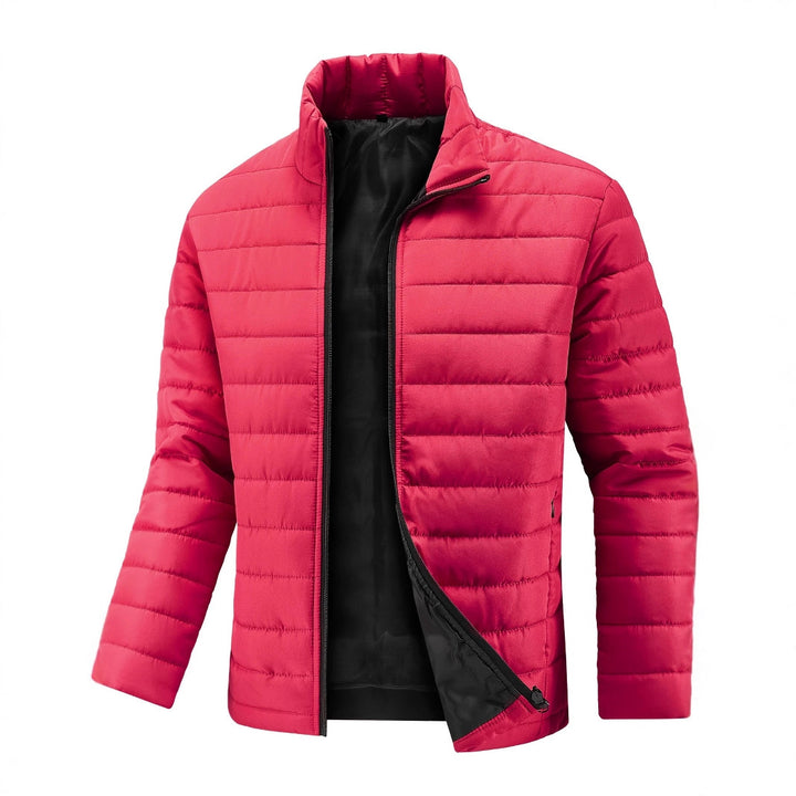 Herren Slim Fit Ultraleichte Thermosteppjacke mit hohem Stehkragen – Taviero