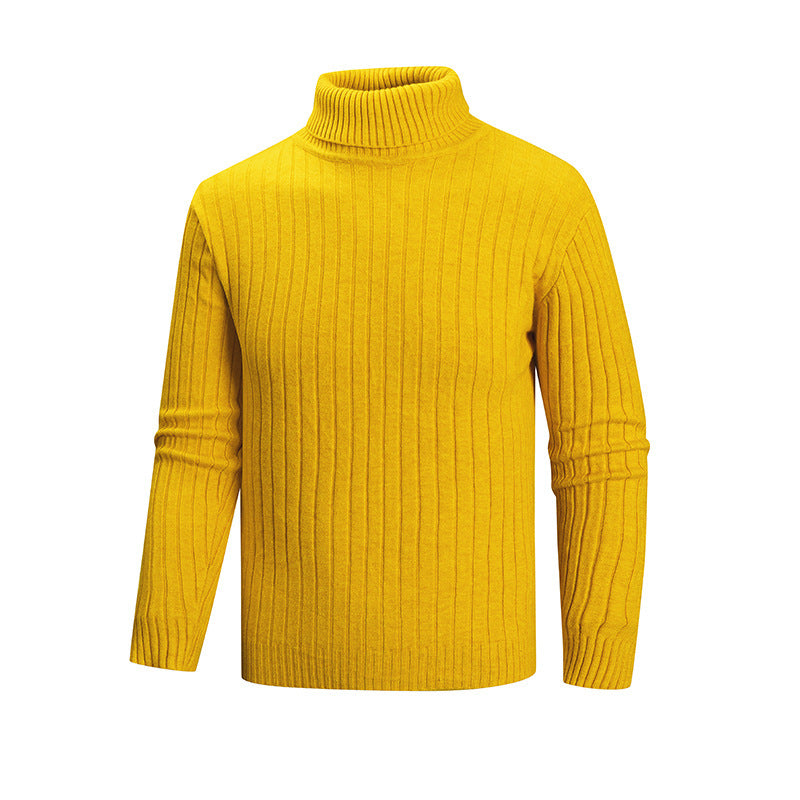 Herren Strickpullover mit Stehkragen Echoarchiv