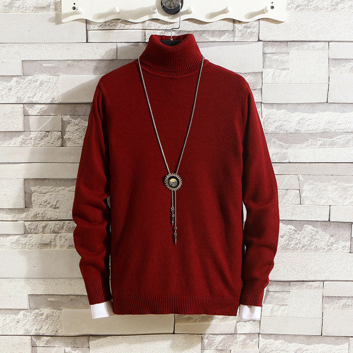 Herren Rollkragenpullover aus hochwertigem Strickmaterial Echoarchiv