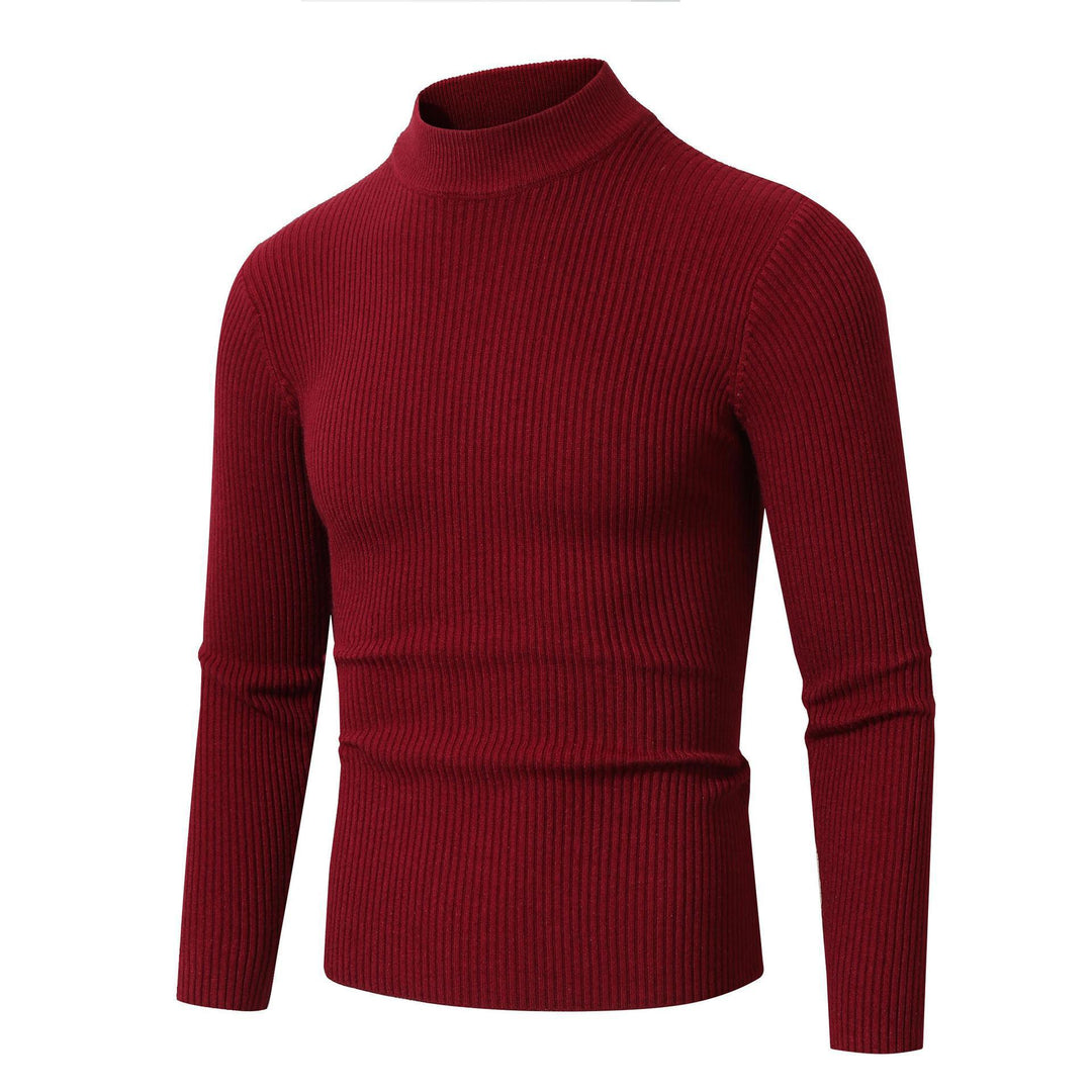 Herren modischer Rollkragenpullover aus feiner Wolle Echoarchiv