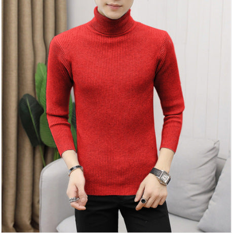 Herren nan Rippstrick Rollkragenpullover figurnaher elastischer Feinstrick Echo Archiv