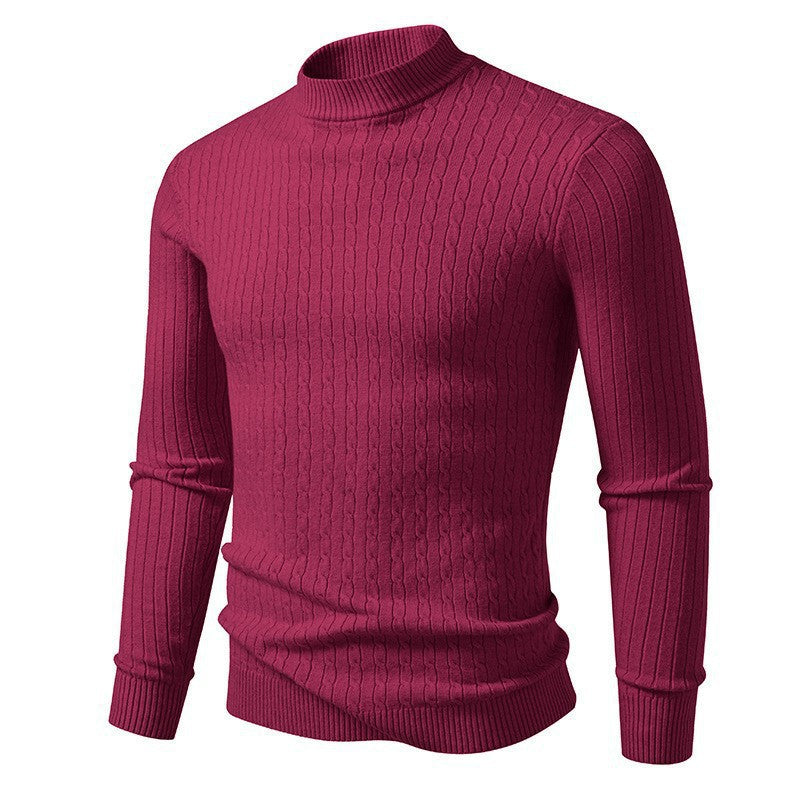 Herren Rollkragenpullover aus strukturiertem Strickmaterial Echoarchiv