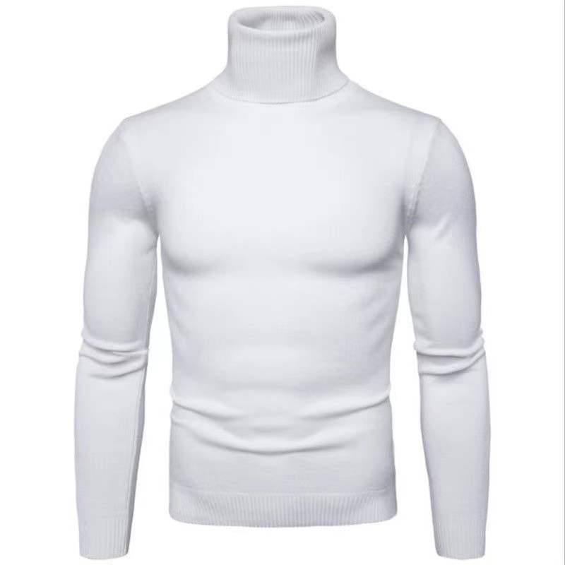 Herren Rollkragenpullover aus feiner Baumwolle mit figurbetontem Schnitt Echoarchiv