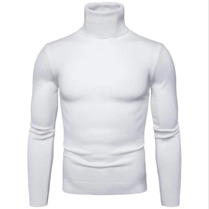 Herren Rollkragenpullover aus feiner Baumwolle mit figurbetontem Schnitt Echoarchiv