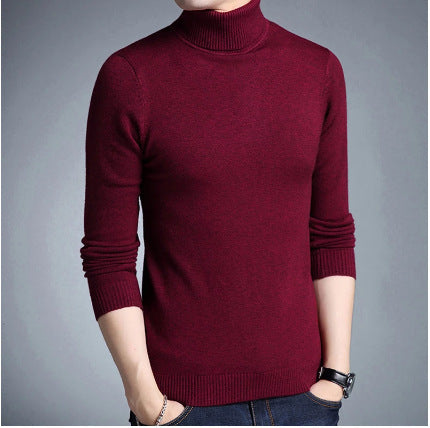 Herren Rollkragenpullover aus weichem Strick Echoarchiv