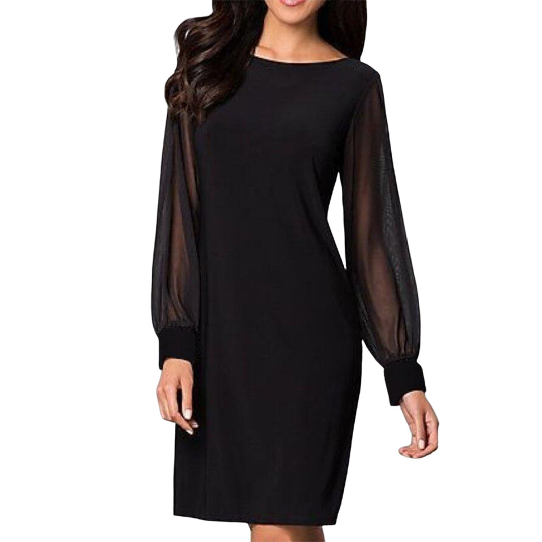 Damen nan elegantes Etuikleid mit transparenten Chiffon-Ärmeln, Rundhalsausschnitt und taillierter Silhouette Echo Archiv