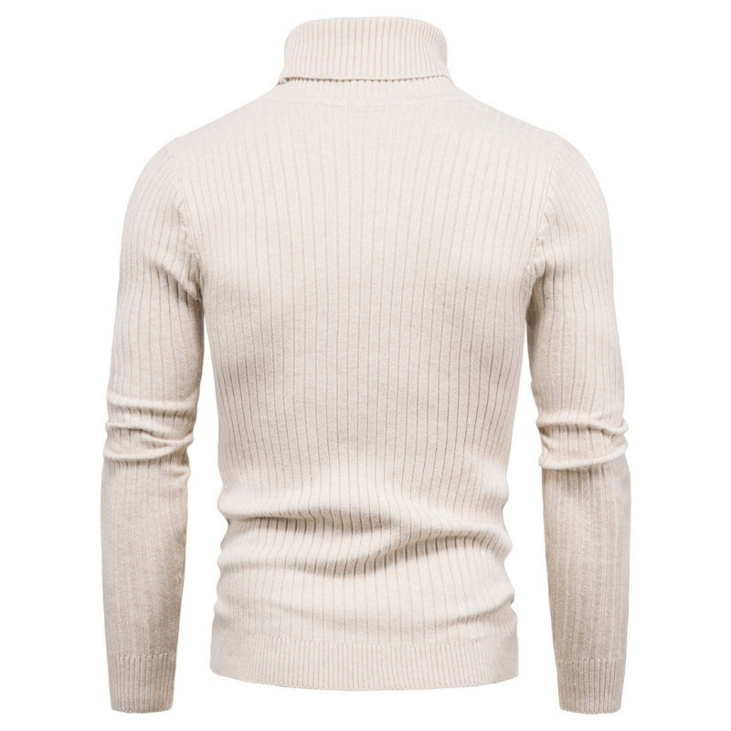 Herren Rollkragenpullover aus hochwertigem Strick Echoarchiv