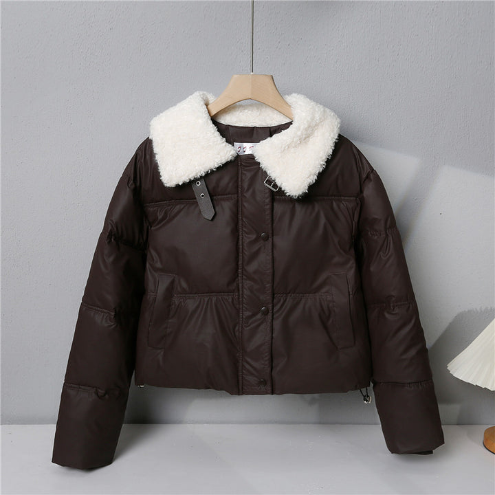 Damen nan kurze gesteppte Winterjacke mit Teddykragen, wattierter Isolierung und verdecktem Druckknopfverschluss Echo Archiv