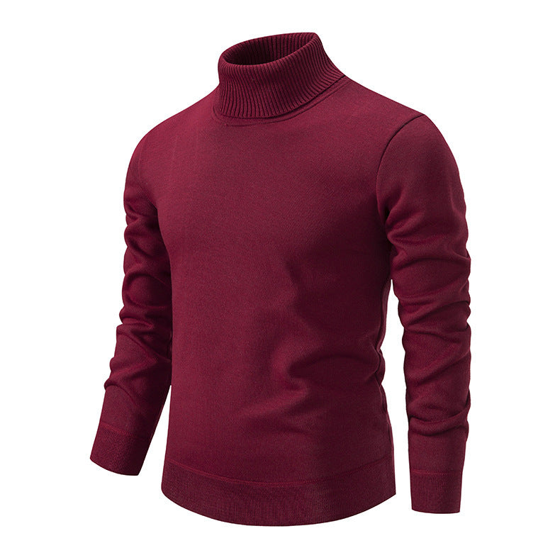 Herren Rollkragenpullover aus weichem Strick mit strukturiertem Design Echoarchiv