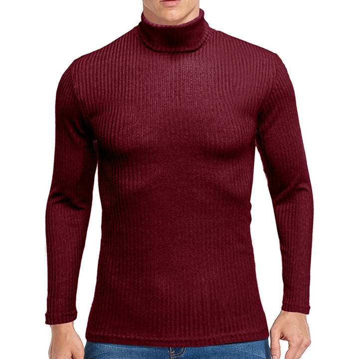 Herren feiner Rollkragenpullover aus strukturiertem Strick Echoarchiv
