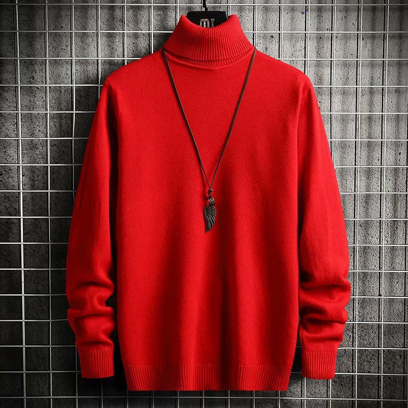 Herren Rollkragenpullover aus weicher Wolle Echoarchiv