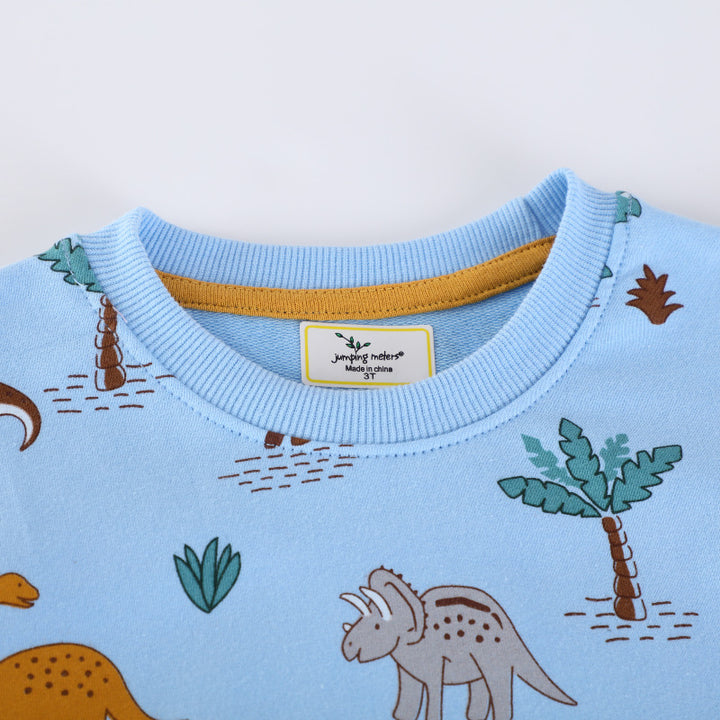 Kinder Sweatshirt Echo Archiv