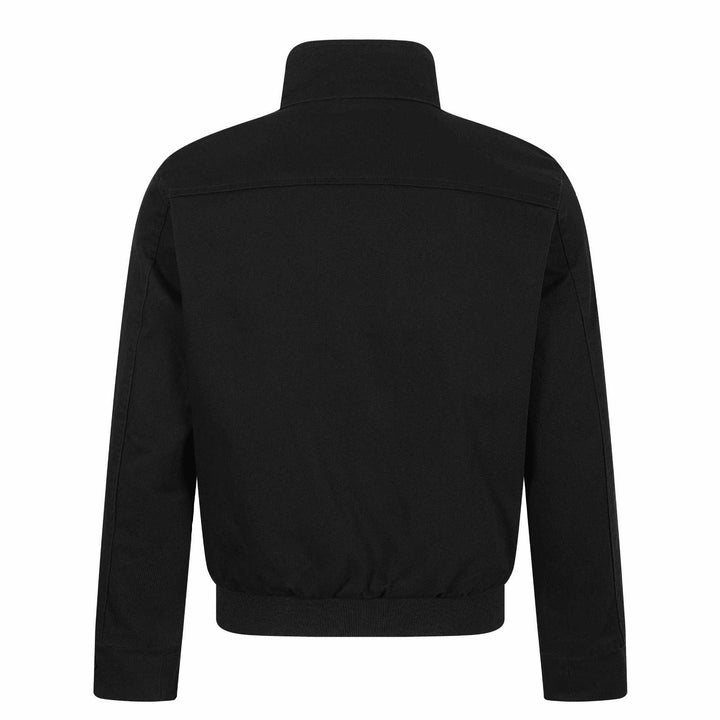 Unisex Kurz geschnittener Canvas-Fieldblouson mit Schnallenblende, Utility‑Taschen und hohem Stehkragen Echoarchiv