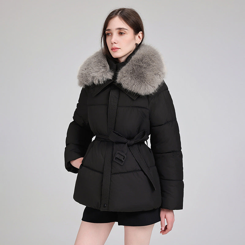 Damen nan luxuriöse kurze Pufferjacke mit integriertem Windschutzkragen und Taillengürtel Echo Archiv