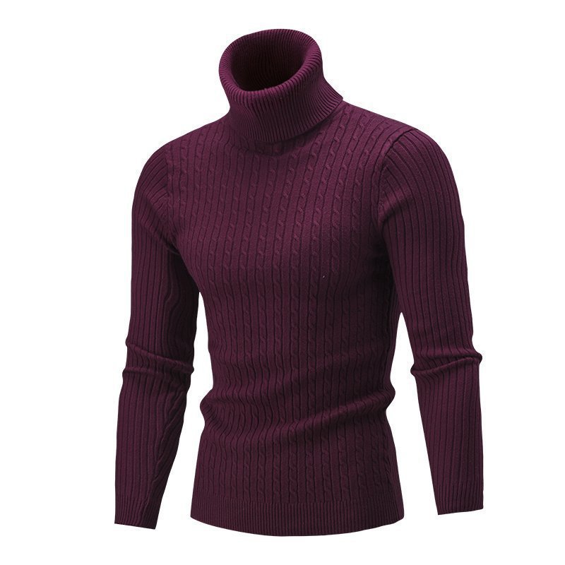 Herren nan gerippter Rollkragenpullover mit Zopfmuster und körpernaher Slim-Fit-Silhouette Echo Archiv
