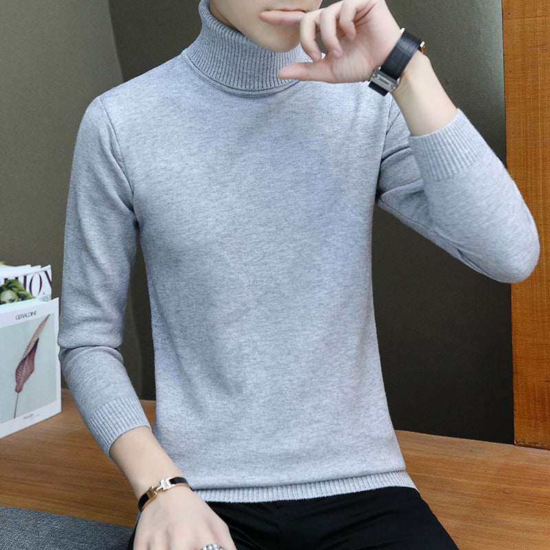 Herren modischer Rollkragenpullover mit feiner Struktur Echoarchiv