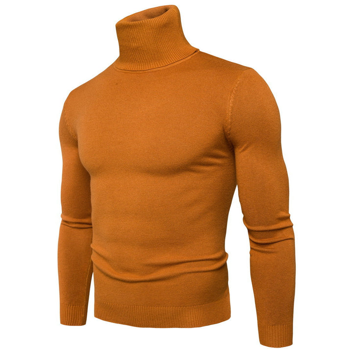 Herren Rollkragenpullover aus feiner Merinowolle Echoarchiv