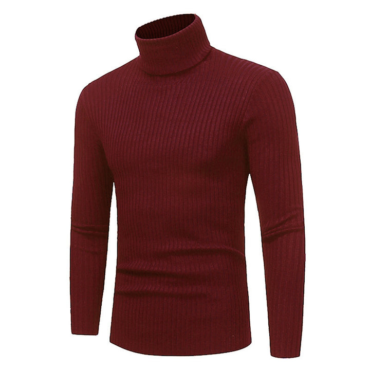 Herren Hochwertiger Rippenrollkragenpullover Echoarchiv