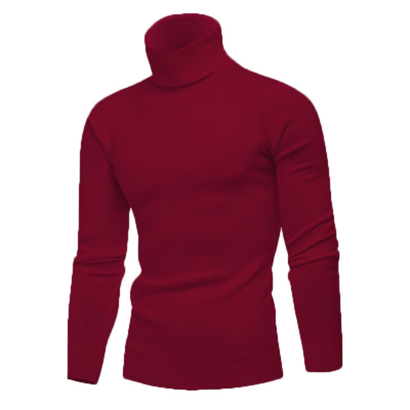 Herren Rollkragenpullover aus feiner Baumwolle mit figurbetontem Schnitt Echoarchiv