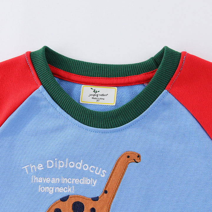 Jungen Sweatshirt mit lustigem Dinosaurierdesign Echo Archiv