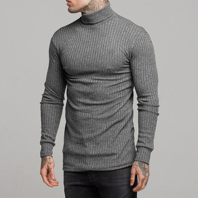 Herren modisches Langarmshirt mit Rollkragen Echoarchiv