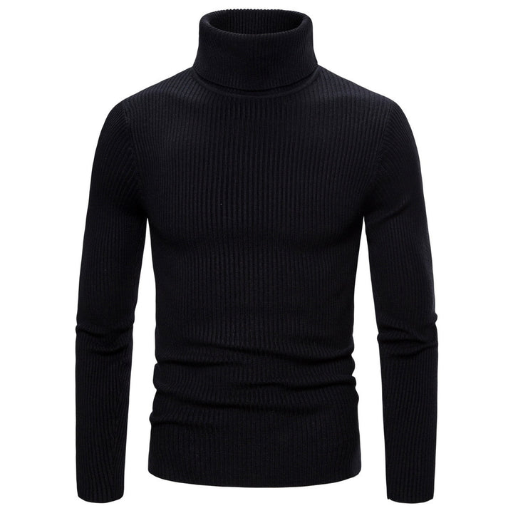 Herren modischer Rollkragenpullover aus hochwertigem Strick Echoarchiv