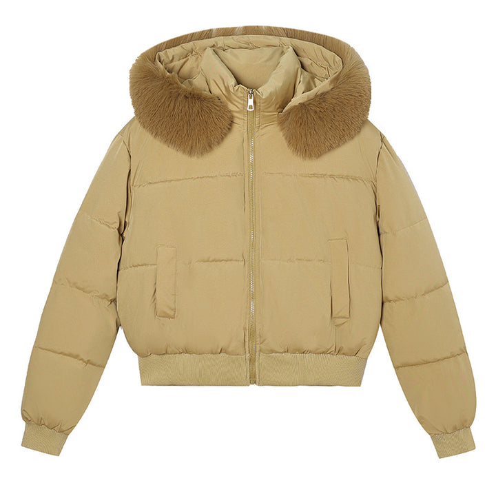 Damen Kurz-Bomber-Steppjacke mit abnehmbarem Plüschkragen und geripptem Saum Echo Archiv