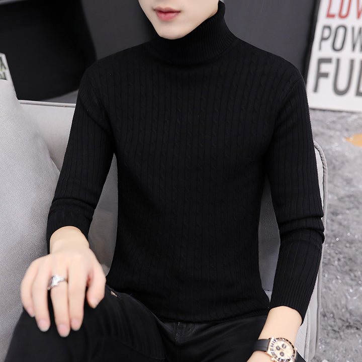 Herren Rollkragenpullover im stilvollen Rippstrickdesign Echoarchiv