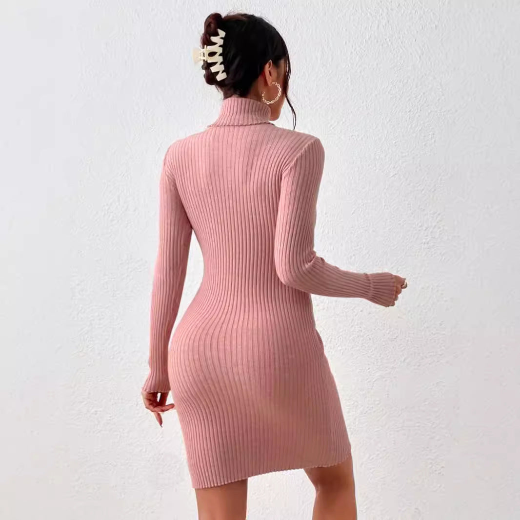 Damen Strickkleid mit hohem Kragen Echoarchiv