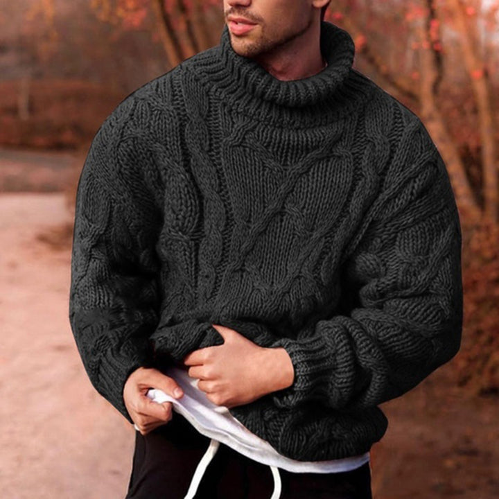 Herren Strickpullover mit hohem Kragen und strukturiertem Zopfmuster Echoarchiv