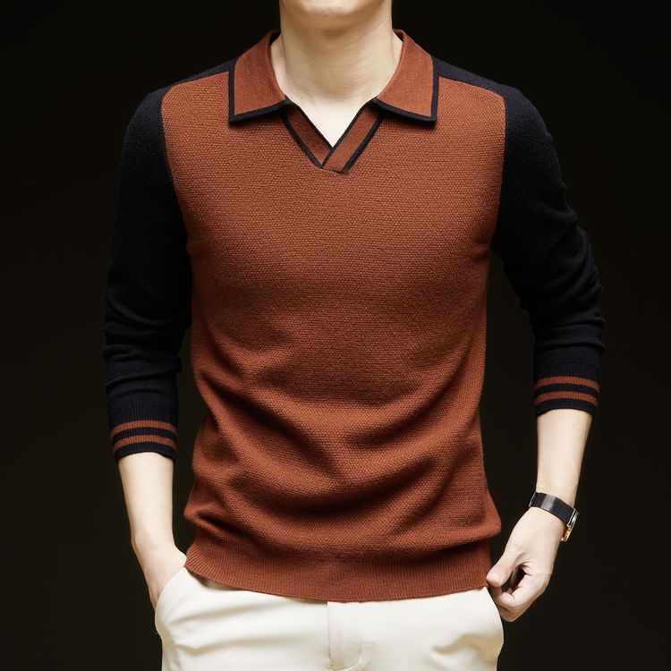 Herren Feinstrickpullover mit V-Ausschnitt und modischem Kontrastdesign Echoarchiv