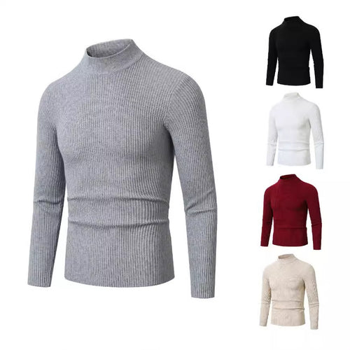 Herren modischer Rollkragenpullover aus feiner Wolle Echoarchiv