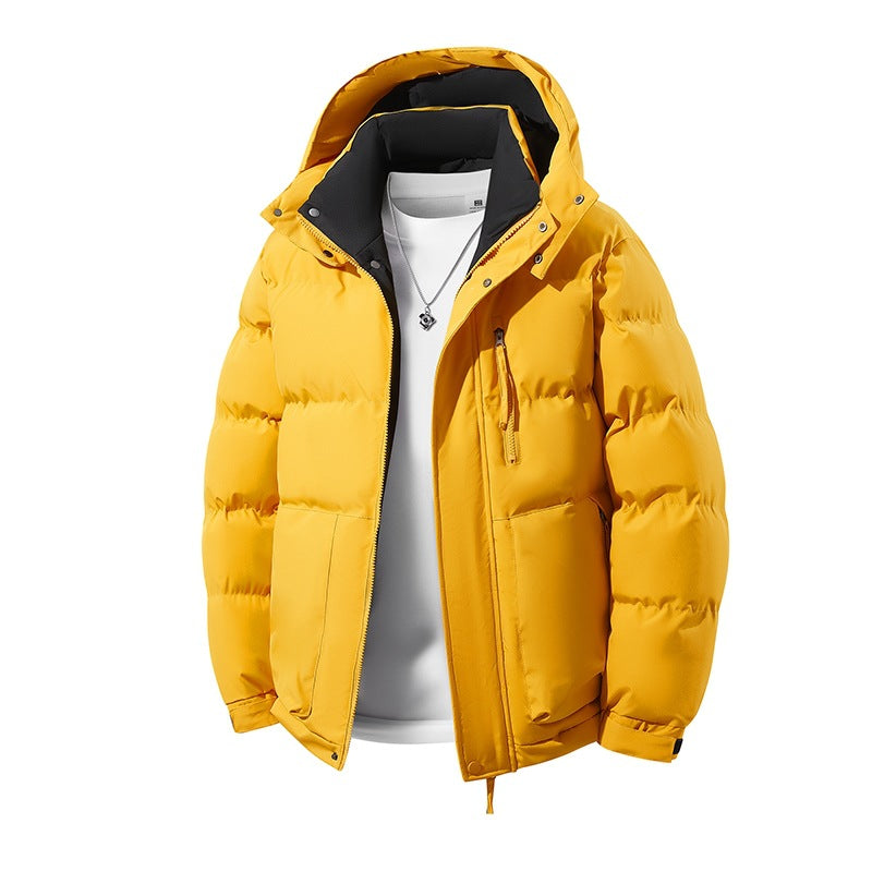 Herren Wärmende Daunenoptik‑Steppjacke mit Kapuze, Thermofutter & Kordelzug Echoarchiv
