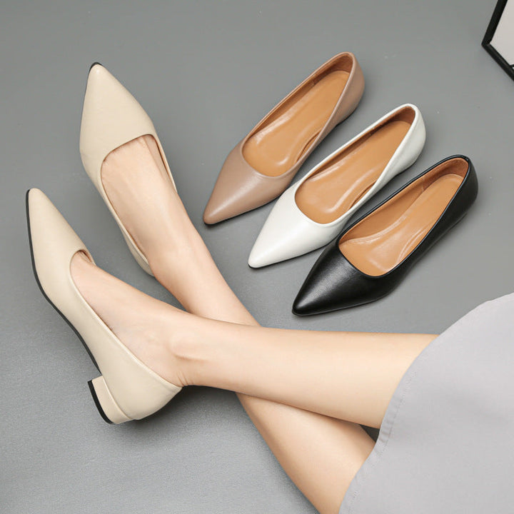 Damen klassische Ballerinas mit elegantem spitzen Design und bequemem Blockabsatz Echoarchiv
