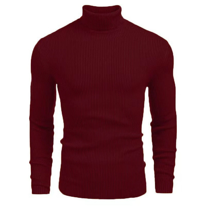 Herren Rollkragenpullover mit strukturiertem Rippenmuster Echoarchiv