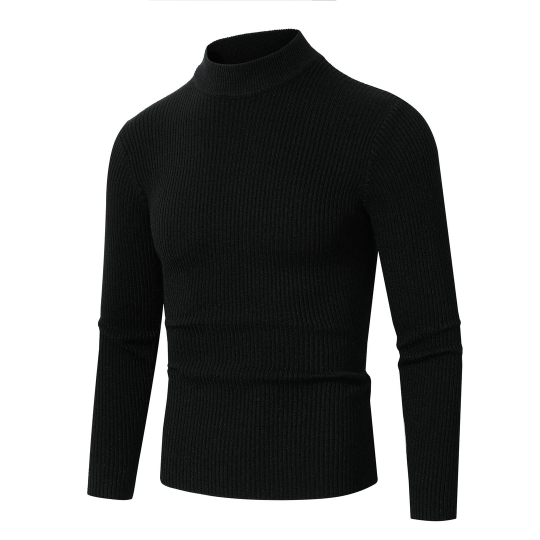 Herren modischer Rollkragenpullover aus feiner Wolle Echoarchiv