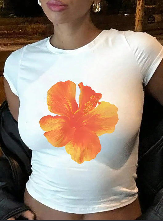 Damen Crop-T-Shirt mit kreativen Schleifen-Details Echo Archiv