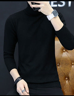 Herren Rollkragenpullover aus feinem Strick Echoarchiv