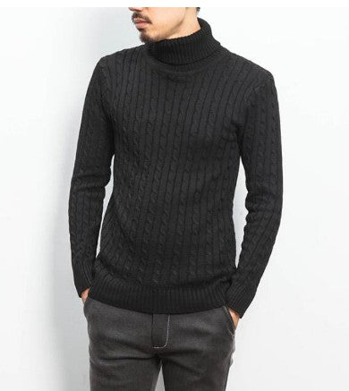 Herren modischer Rollkragenpullover mit strukturierter Strickoptik Echoarchiv